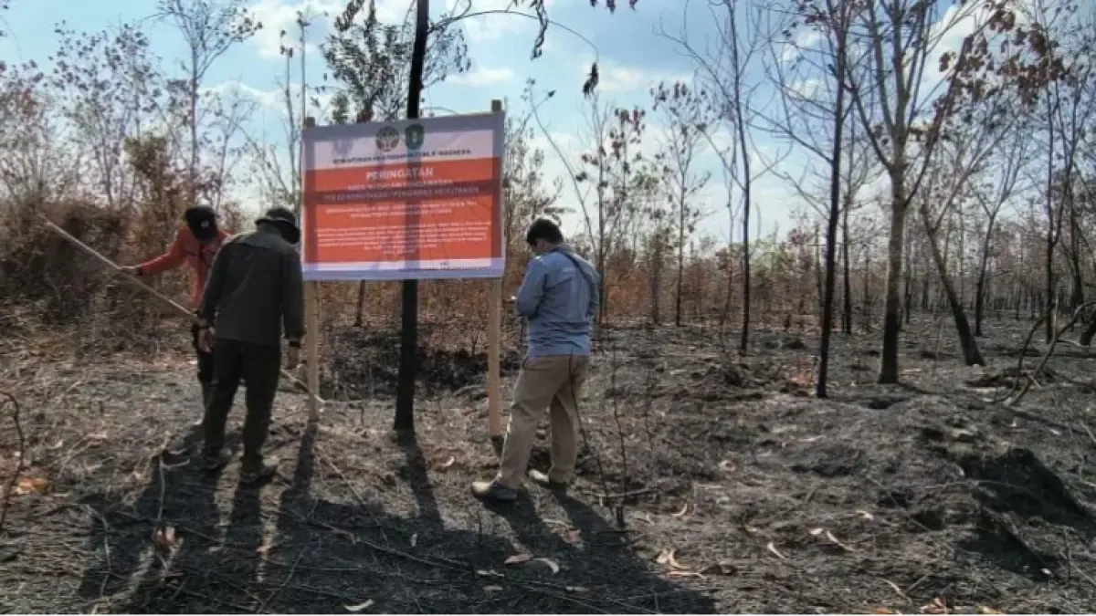 Usut 3,6 Ribu Hektare Lahan Terbakar, Kemenhut Proses 31 Kasus Karhutla dan Ancam Bekukan Izin PBPH