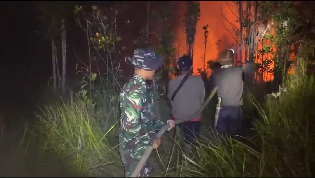 Sejumlah petugas sedang memadamkan karhutla.