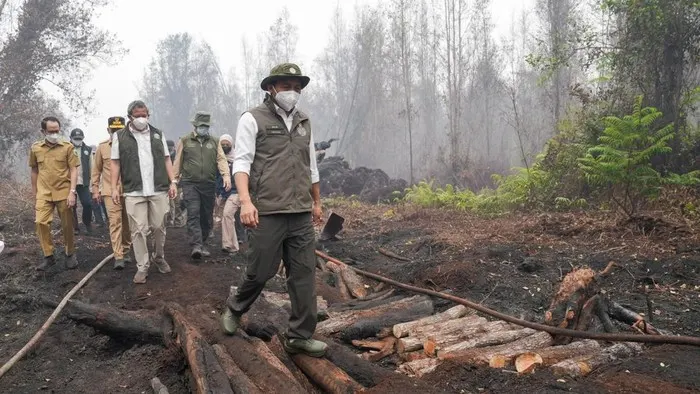 Menteri Kehutanan (Menhut) Raja Juli Antoni