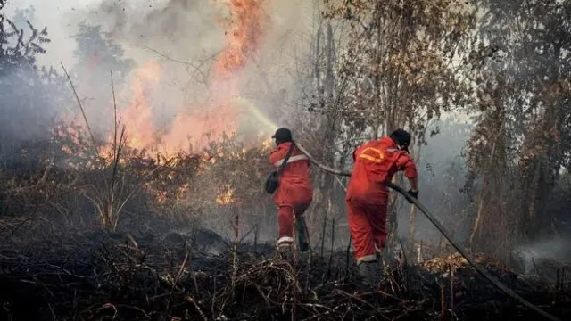 Penanganan Karhutla Nasional Diperkuat, Kalbar Jadi Wilayah Prioritas