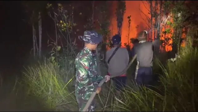 Karhutla Capai 639,23 Hektare di Enam Provinsi, Kalimantan Tengah Terluas