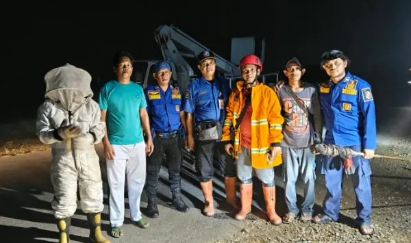 Sarang Tawon Besar Resahkan Warga Patoka, BPBD dan Dishub Mempawah Turun Tangan
