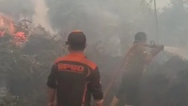 Pemerintah Provinsi Kalimantan Tengah Alokasikan Perlindungan Asuransi Bagi Tim Lapangan Penanganan Karhutla