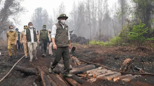 Dampak Karhutla pada Satwa Liar, Menhut Dorong Penanganan Korban Bencana Ekologis